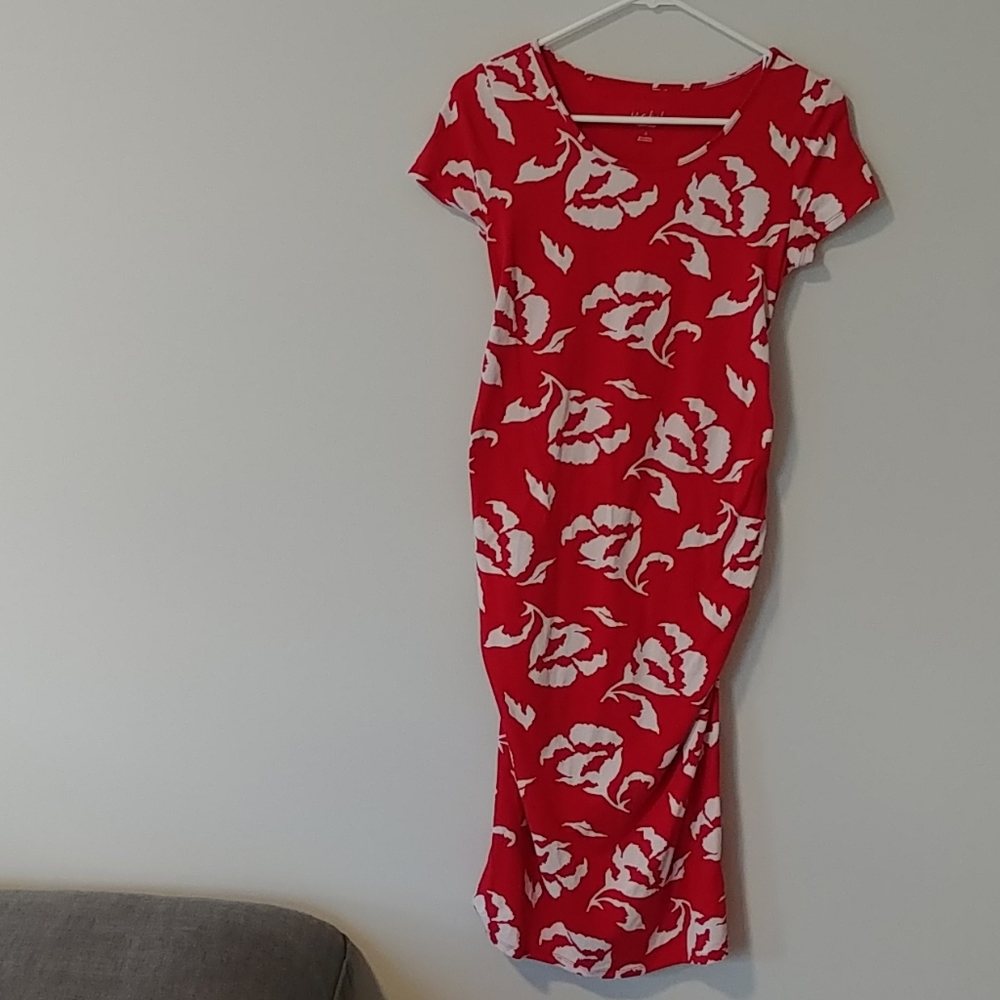NWOT Isabel Maternity Red and White Floral Dress